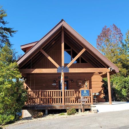 Vila Peaceful Setting Cabin Pigeon Forge Exteriér fotografie